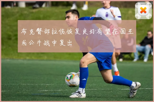 布克臀部拉伤恢复良好有望在国王或公牛战中复出