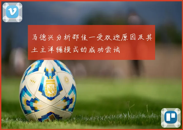马德兴分析邵佳一受欢迎原因及其土主洋辅模式的成功尝试