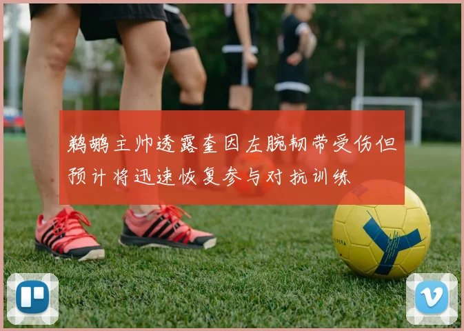 鹈鹕主帅透露奎因左腕韧带受伤但预计将迅速恢复参与对抗训练